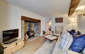 TV, fireplace - 2 Bed in Appledore (oc-whimbc) (Appledore)