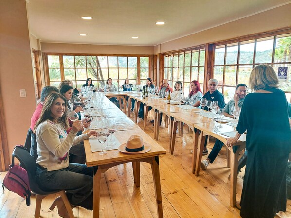 Tasting room - Villa Miramar at Casa Marin Vineyards (Cartagena)