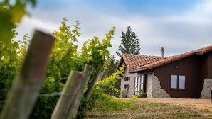 A house with a brown exterior and a tiled roof, surrounded by greenery and a clear sky. - Villa Miramar at Casa Marin Vineyards (Cartagena)