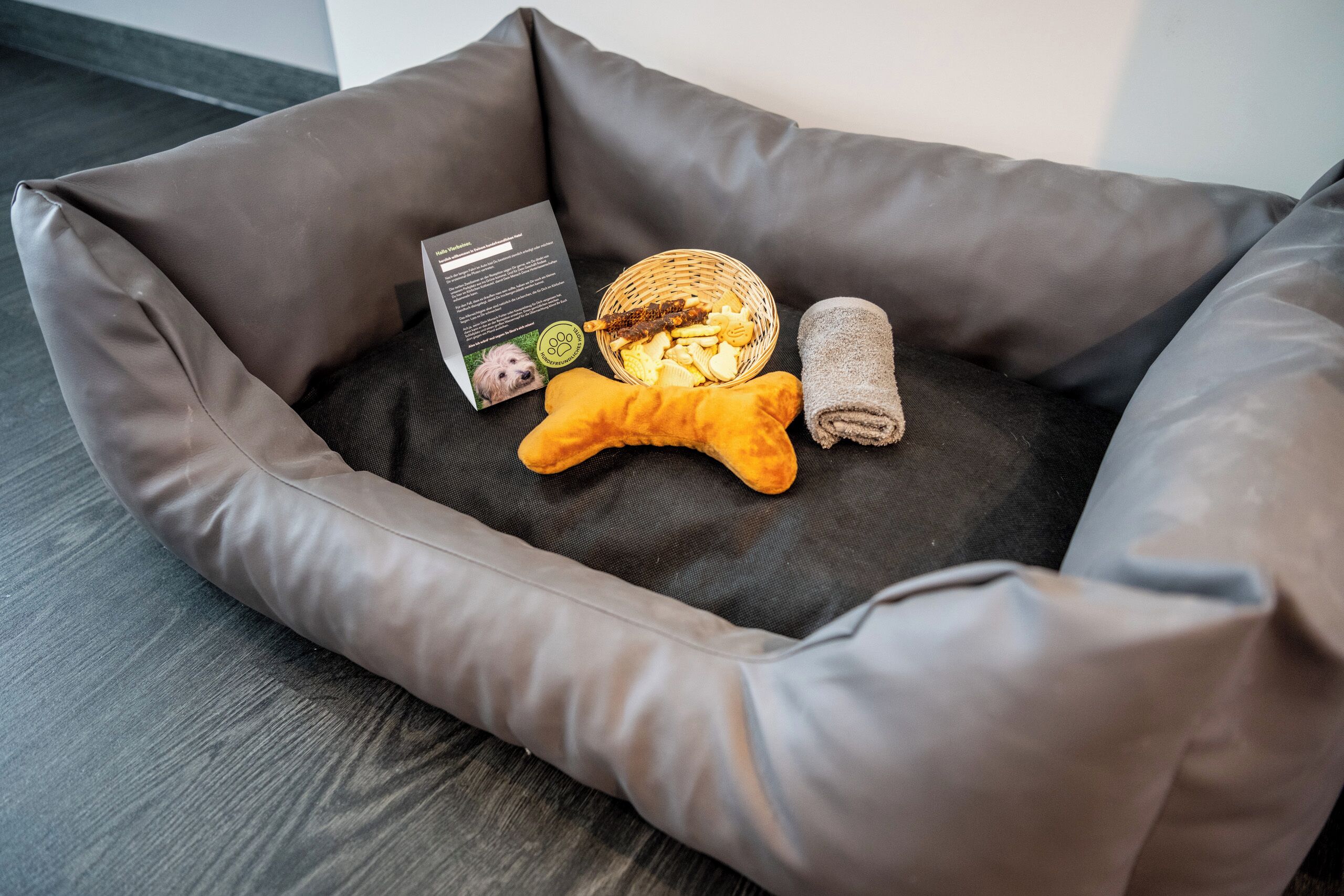 Pet-friendly amenities