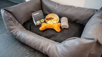 Pet-friendly amenities