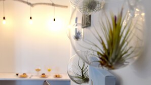 A modern living room with a sofa, cushions, a coffee table, and a wall-mounted plant. - Grey Studios (Thessaloniki)