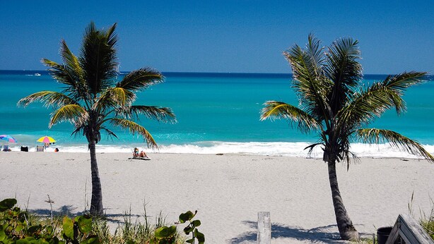 A beach with two palm trees, a clear blue sky, and turquoise water. - BEACHY BUNGALOW. Within two miles of beaches/boat ramps. Book your WINTER stay! (Jupiter)