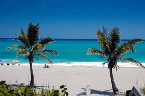 A beach with two palm trees, a clear blue sky, and turquoise water. - BEACHY BUNGALOW. Within two miles of beaches/boat ramps. Book your WINTER stay! (Jupiter)