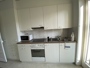 Fridge, oven, stovetop, cookware/dishes/utensils