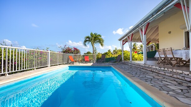 A swimming pool with a stone border, a covered patio area with chairs, and a palm tree in the background.