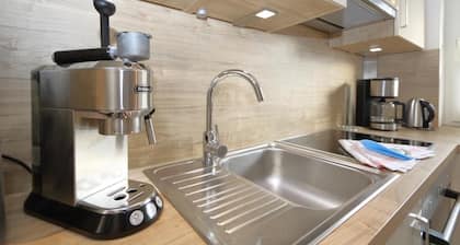 Ankka pesä kylän lampi