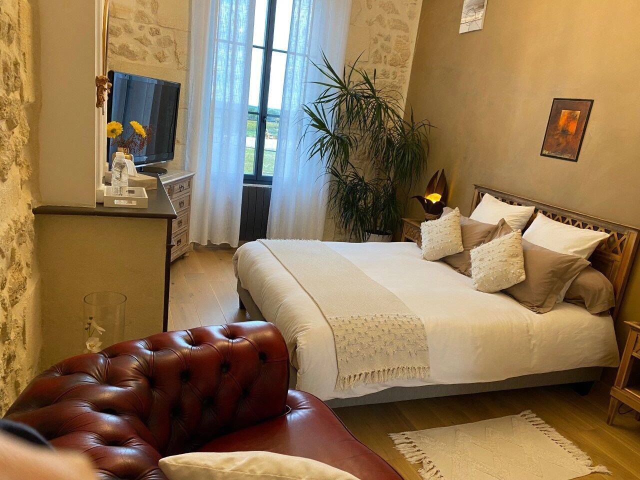 Un dormitorio con una cama grande, televisión, una planta y un sillón de cuero.
