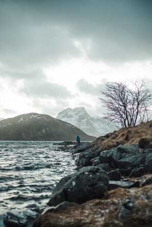 A rocky shoreline with a person in a blue jacket standing near the water. - Private Cozy House by the Fjord (Flakstad)