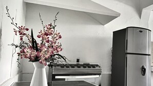 Design-Loft | Eigene Küche | Kühlschrank, Mikrowelle, Herdplatte, Kochgeschirr/Geschirr/Besteck