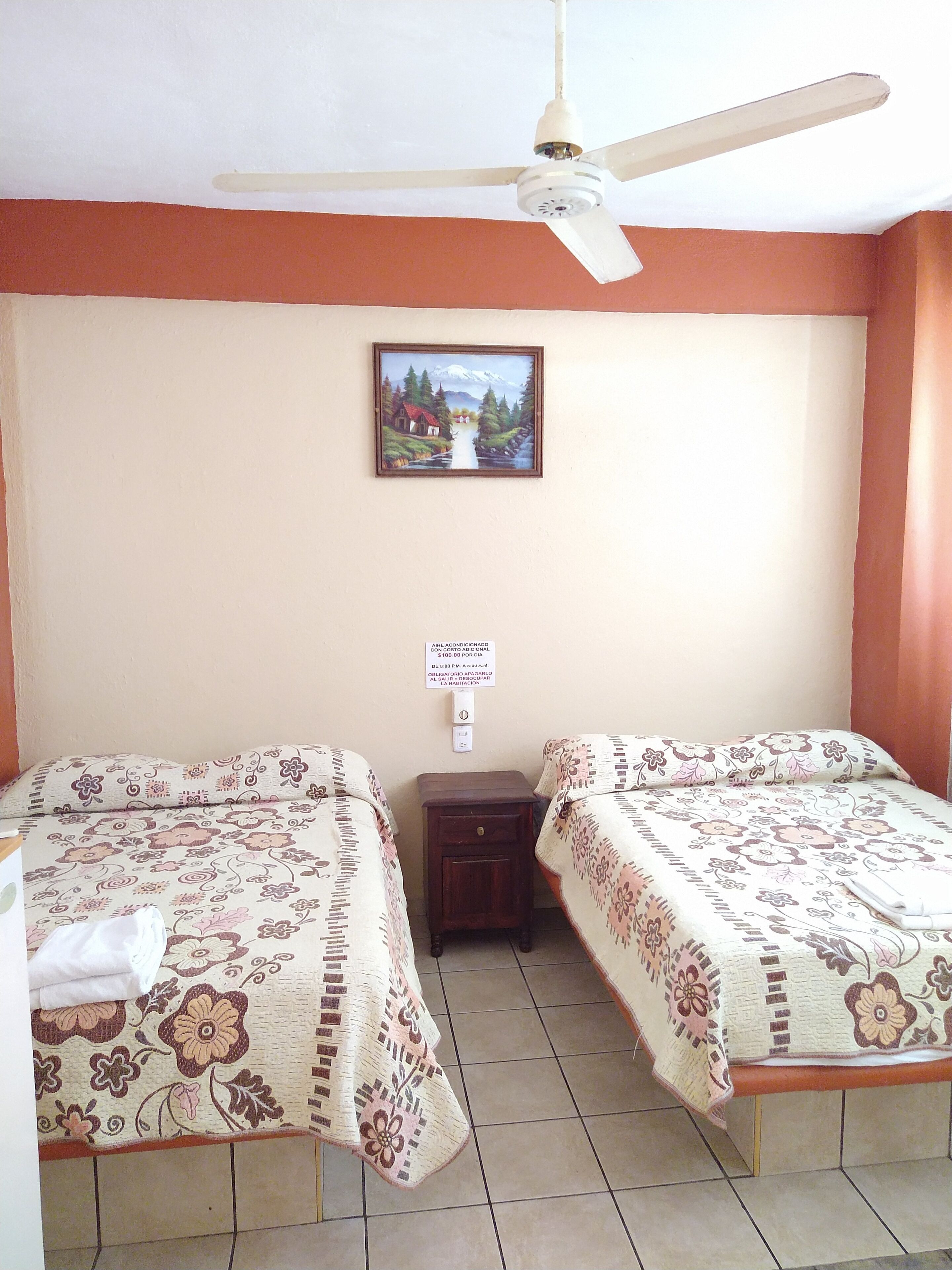 Foto - Hotel y Bungalows Olivares