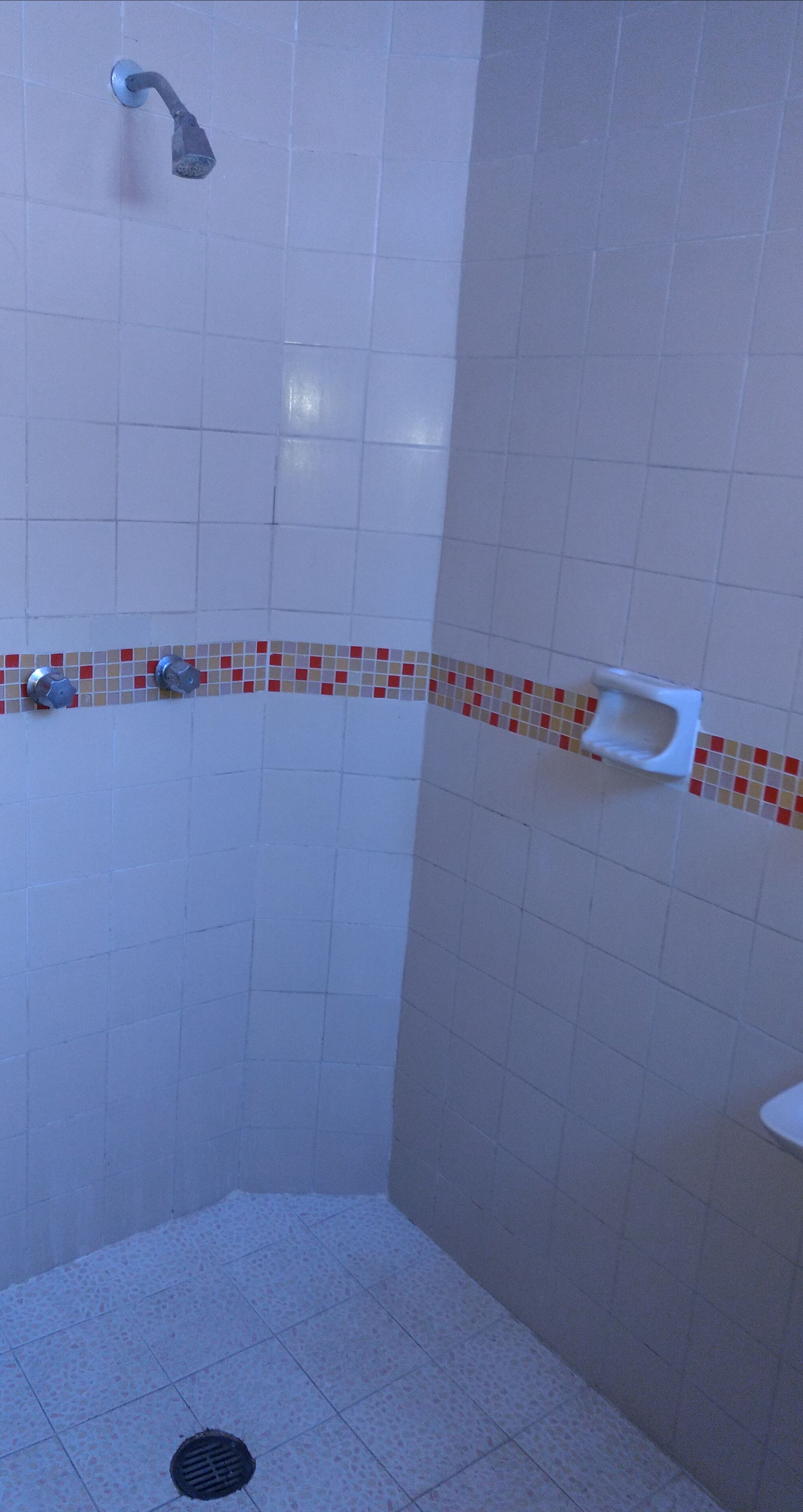 Foto - Hotel y Bungalows Olivares