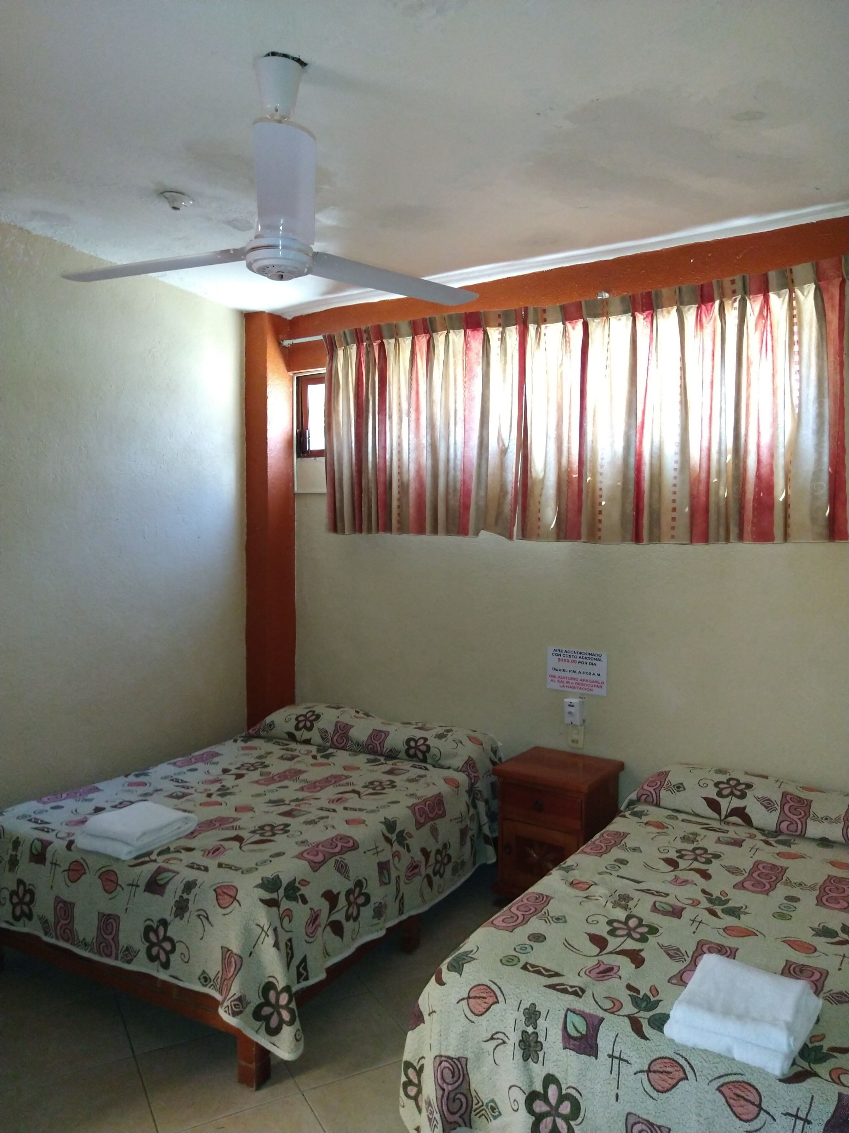 Foto - Hotel y Bungalows Olivares