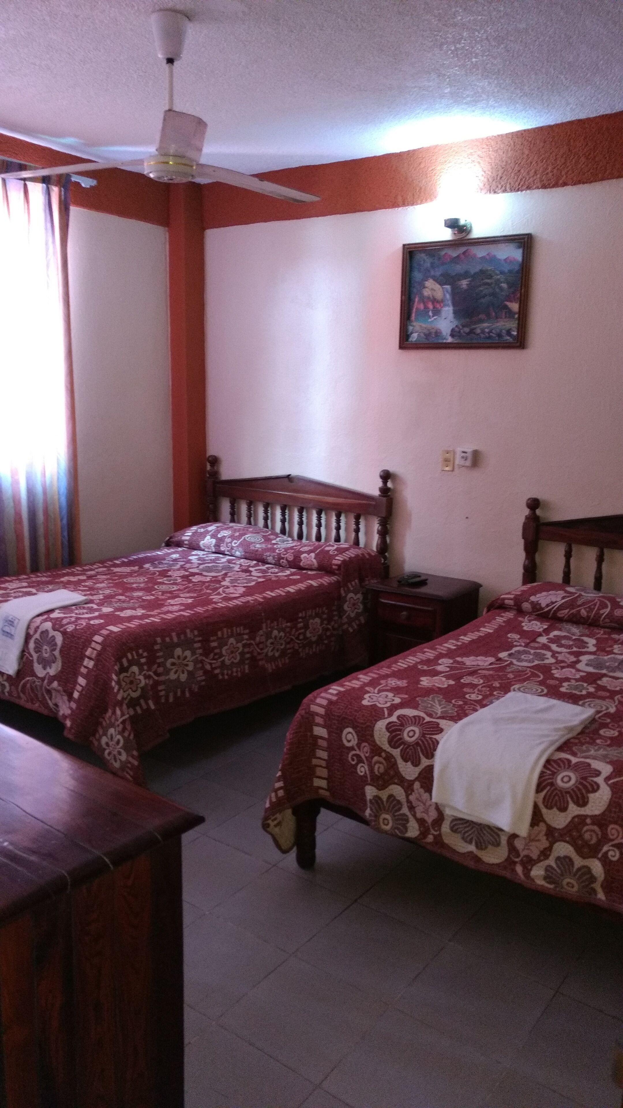 Foto - Hotel y Bungalows Olivares