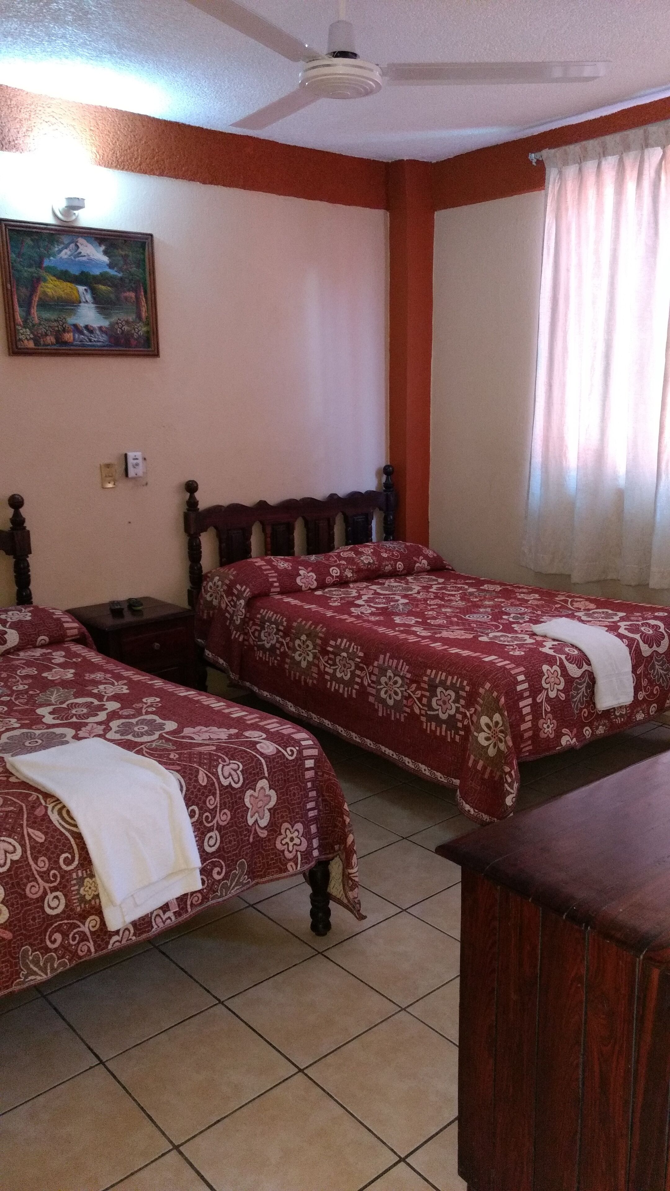 Foto - Hotel y Bungalows Olivares