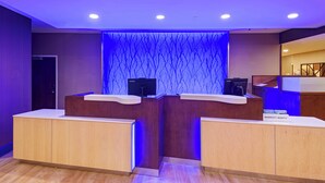A reception area with two counters, a blue wall with a tree-like pattern, and a wooden floor.