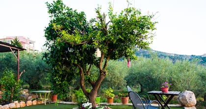 Nature's Guesthouse Luxury