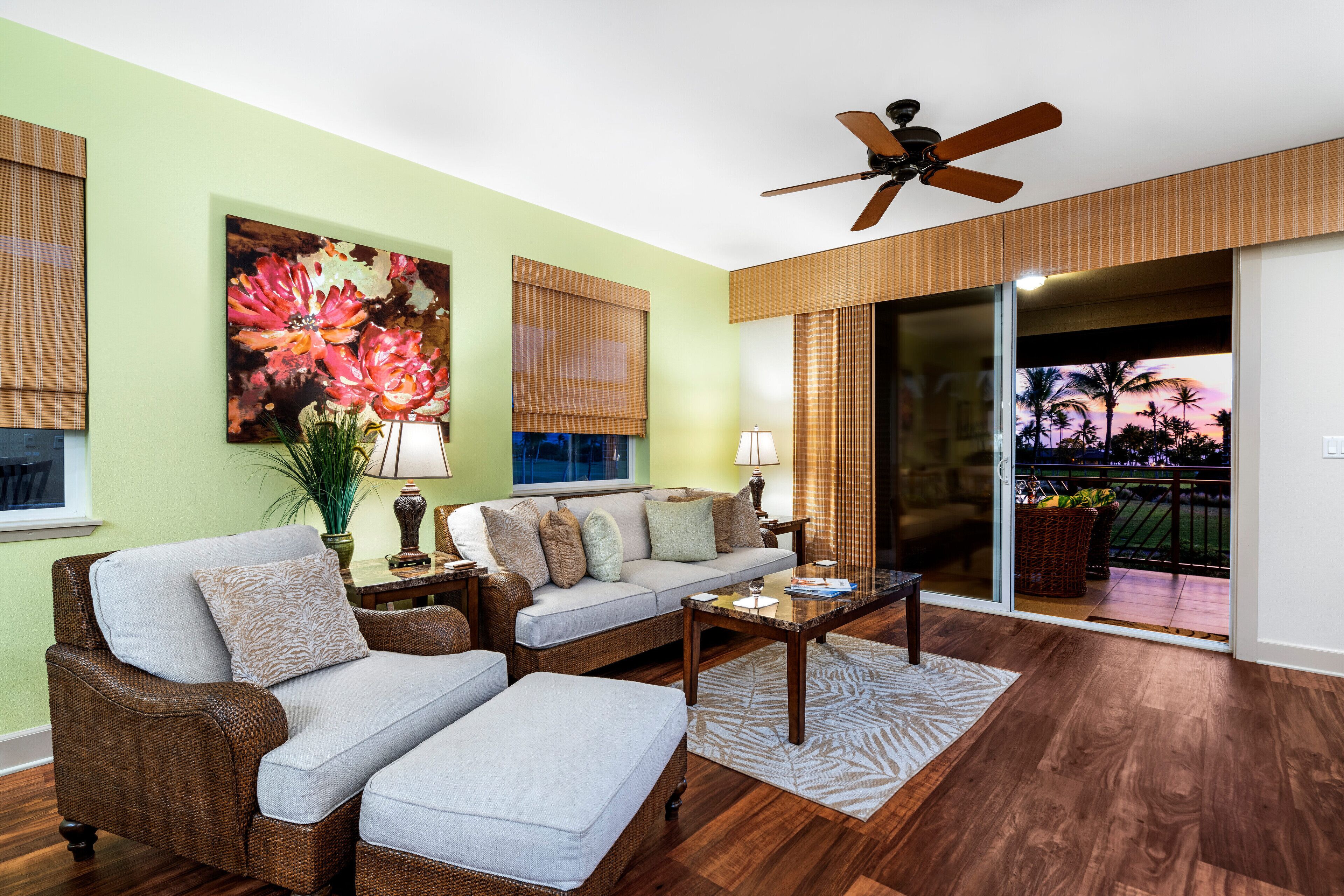 Smart TV, DVD player, books, video library