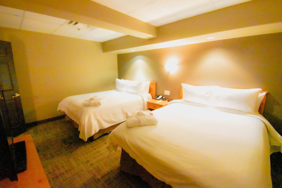 办公桌、遮光窗帘、熨斗/熨衣板、免费 WiFi
