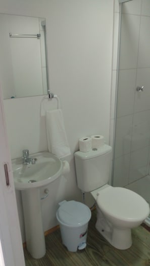 Suite panorámica | Regadera en el baño