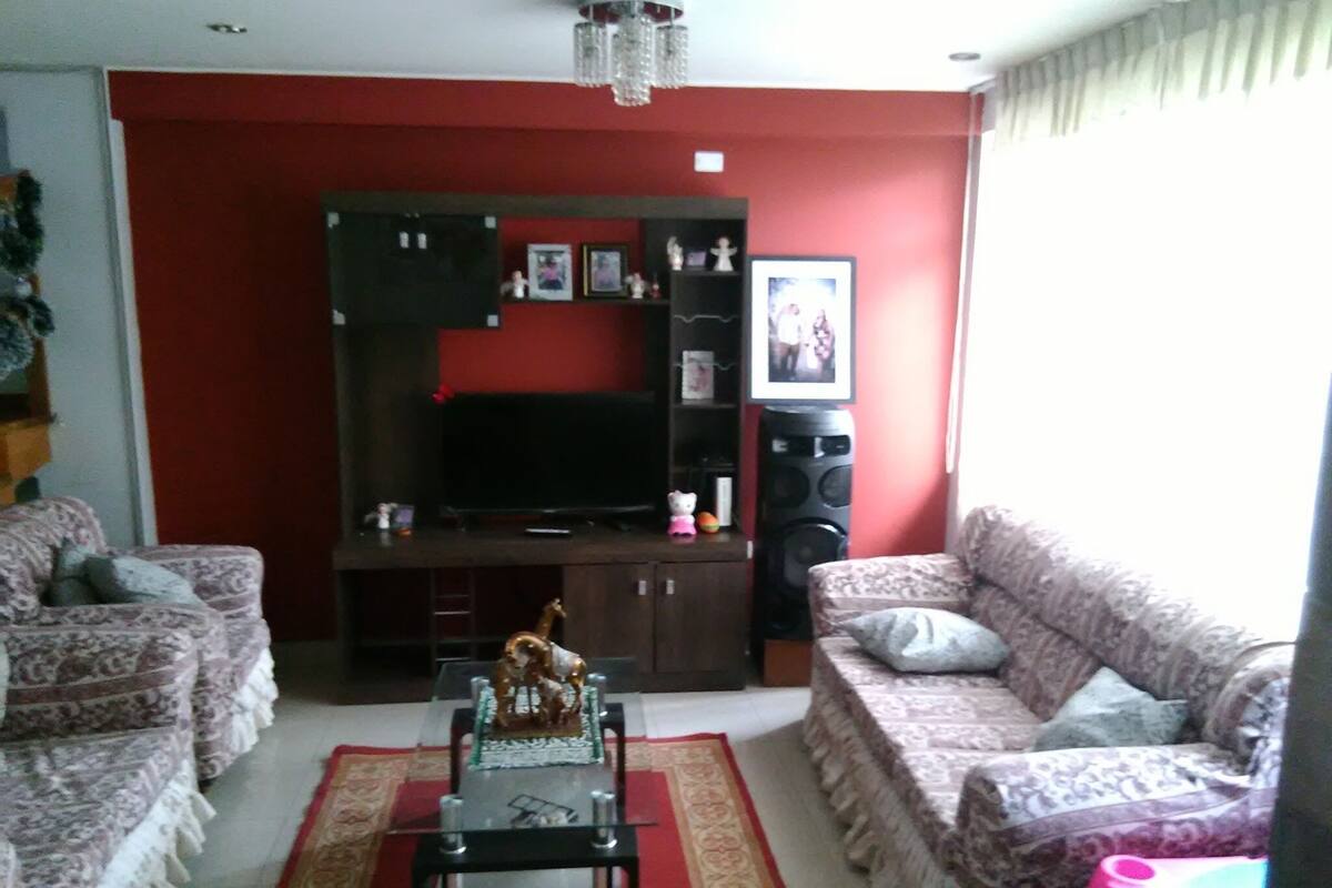 A living room with a red accent wall, a flat-screen TV, a black entertainment unit, and patterned sofas.