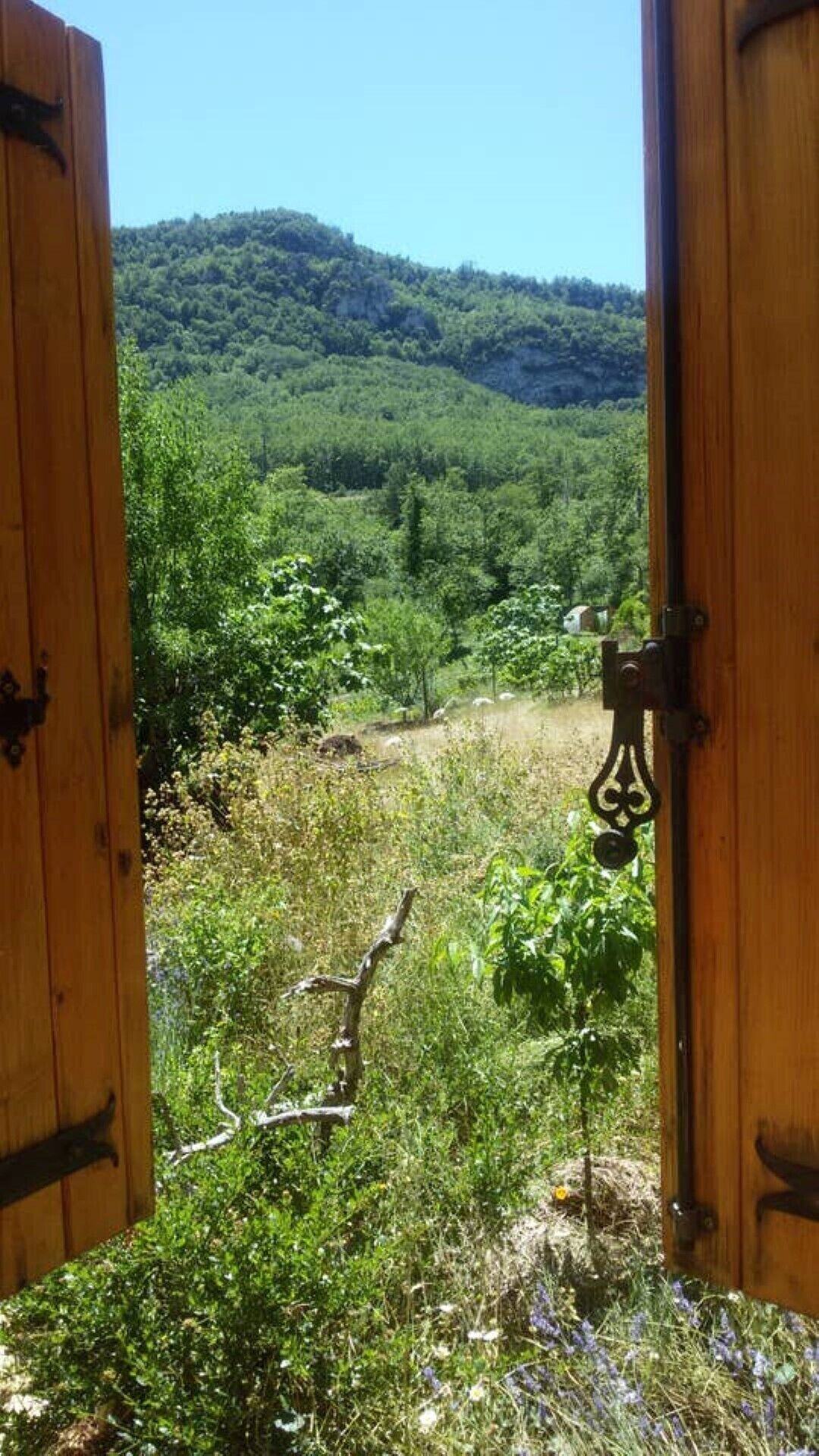 Terrein van de accommodatie