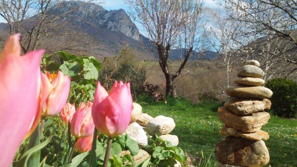 A garden with pink tulips, a stone stack, and a mountainous backdrop.