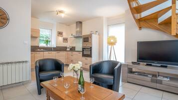 Télévision, cheminée, lecteur de DVD