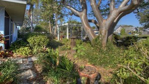 A garden with a large tree, a pergola, and various plants. - Quiet cozy home near Anna Maria Island, Robinson Preserve, DeSoto Nt’l Monument (Bradenton)