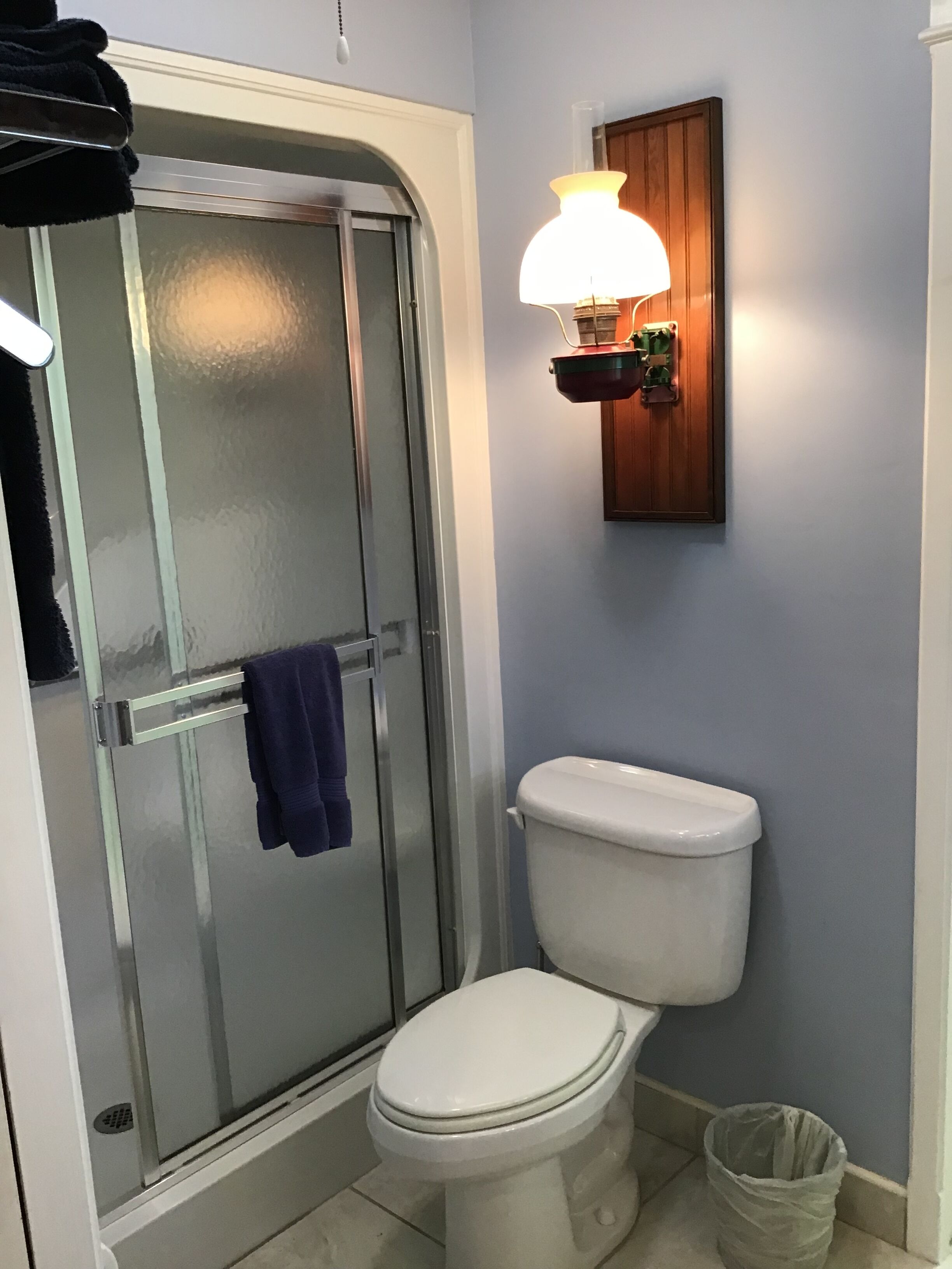 A bathroom with a glass shower enclosure, a white toilet, a wall-mounted light fixture, and a trash can.