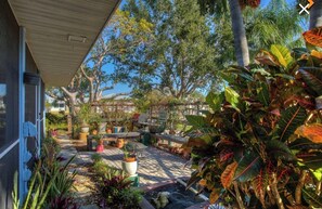 Un espace extérieur abrité, agrémenté de plantes en pot, d’une terrasse en bois et d’un panneau indiquant la présence d’un établissement d’enseignement supérieur.