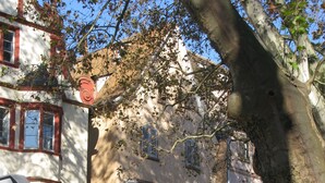 Vista de la calle con coches estacionados, un edificio con un letrero que dice 'Le Temps Retrouve' y un cartel de 'prohibido estacionar'.