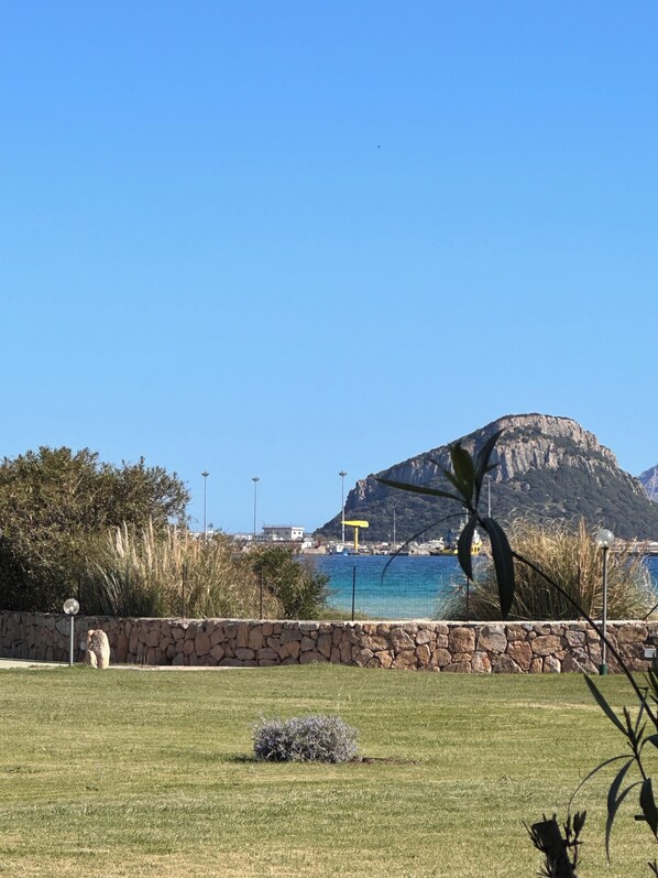 Property grounds - Apartment 2 steps from the sea (Golfo Aranci)