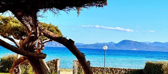 Apartment 2 steps from the sea