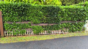 A wooden fence with lush green foliage. - Holiday residence near the beach and the pyla dune (Gujan Mestras)