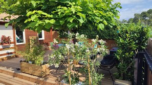 Terassi/patio