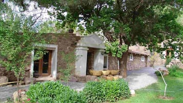 Taman