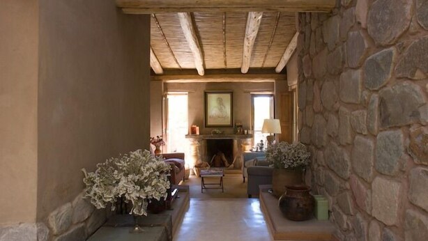 Una sala de estar acogedora con pared de piedra, vigas de madera en el techo, una chimenea y dos grandes macetas con plantas.