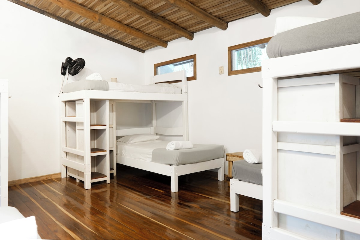 A bunk bed room with a wooden ceiling, white walls, and a wooden floor.
