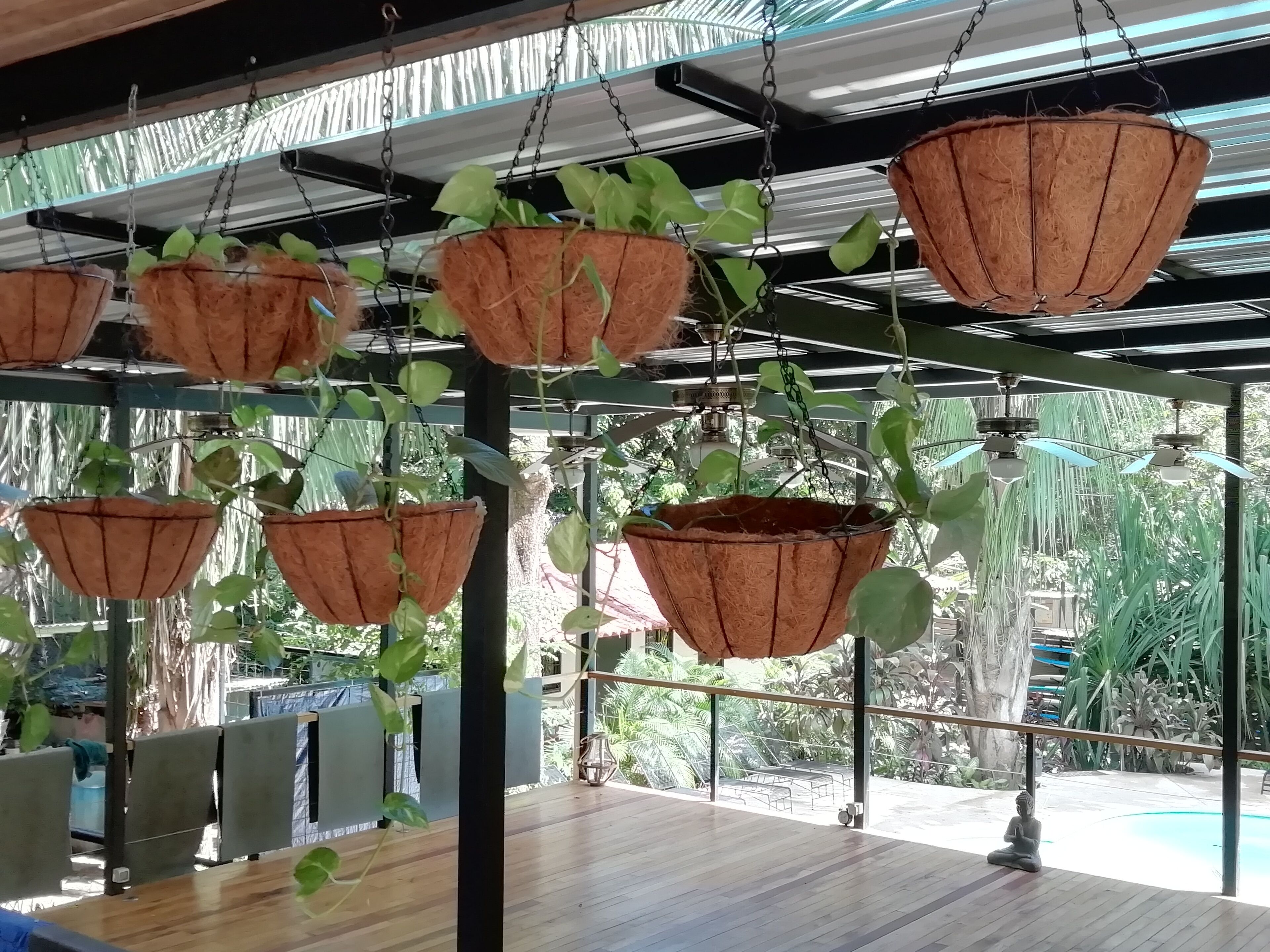 A room with hanging planters, a wooden floor, and a view of the outdoors.