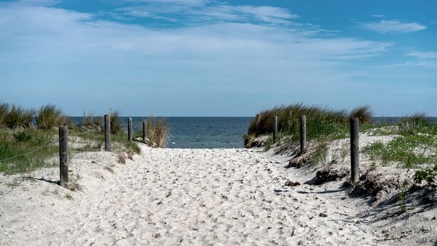 Een zandpad langs het strand dat naar de oceaan leidt, omringd door grasduinen en een helderblauwe lucht.