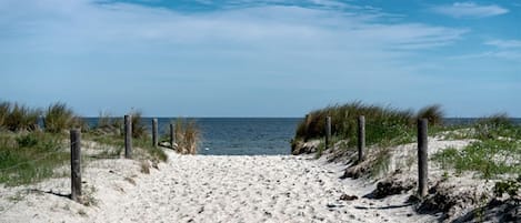 A sandy beach path leading to the ocean, surrounded by grassy dunes and a clear blue sky.