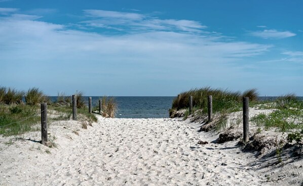 A sandy beach path leading to the ocean, surrounded by grassy dunes and a clear blue sky.