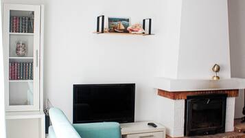 TV, fireplace, DVD player