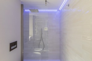 Shower, hair dryer, bidet, towels