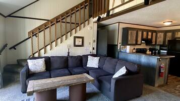 Televisión, chimenea y reproductor de DVD