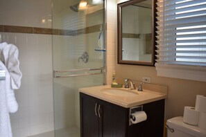 A bathroom with a glass shower enclosure, a sink with a mirror above it, and a toilet with toilet paper.