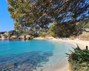 Playa en los alrededores 