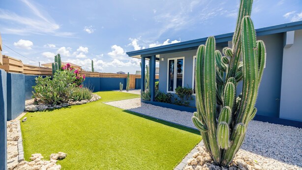 A modern house with a blue exterior, a well-maintained lawn, and several cacti.