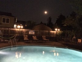 Seasonal outdoor pool, pool umbrellas, sun loungers